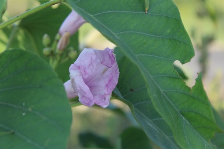 Patient with a toothache at an emergency dental clinic in Richmond Hill